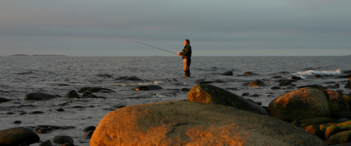 Open Coast Meerforellenfischen