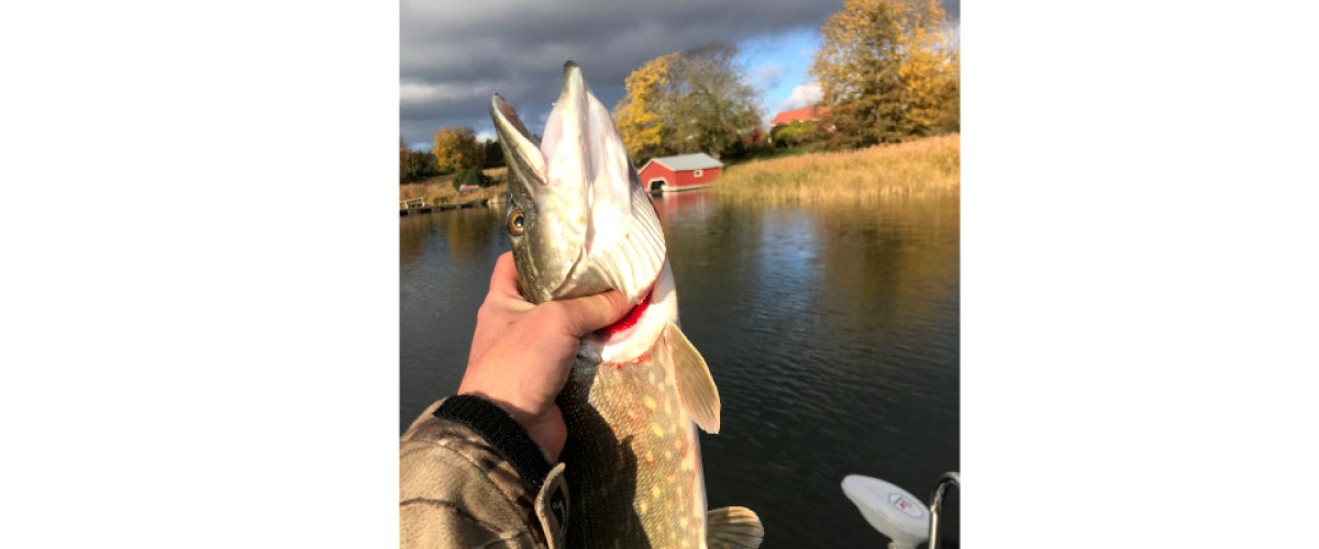 Dånö bys fiskelag