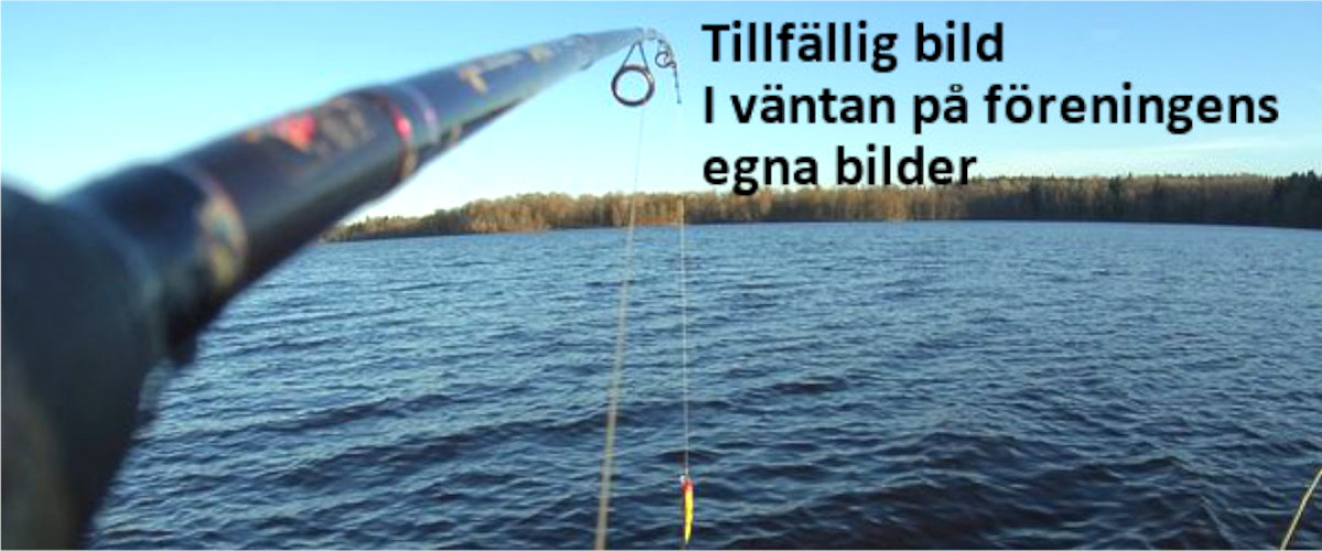 Wessingsboda bys fiskelag och samfällda